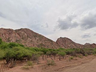 Foto 4 de Terreno en venta - 19.000Mts2 - Alemania, Salta