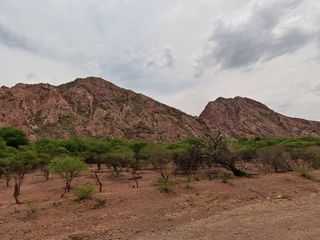 Foto 1 de Terreno en venta - 19.000Mts2 - Alemania, Salta