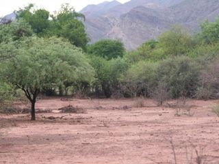 Foto 8 de Terreno en venta - 19.000Mts2 - Alemania, Salta