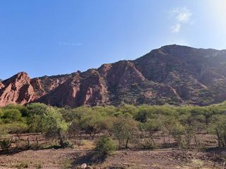 Foto 2 de Terreno en venta - 19.000Mts2 - Alemania, Salta