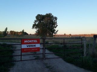 Foto 1 de Chacra - Viedma