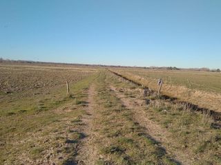 Foto 2 de Chacra - Viedma