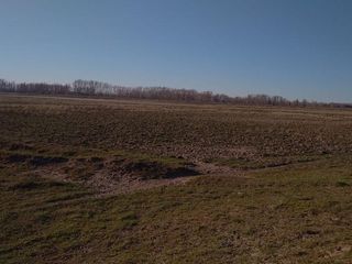 Foto 4 de Chacra - Viedma
