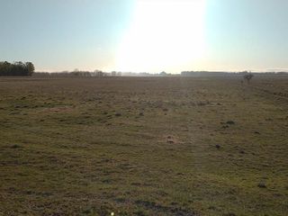 Foto 6 de Chacra - Viedma