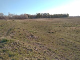 Foto 5 de Chacra - Viedma