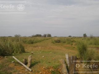 Foto 12 de Campo en venta de 300 has FORESTAL - Ganadera R14 Corrientes -Financiación