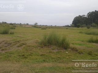 Foto 11 de Campo en venta de 300 has FORESTAL - Ganadera R14 Corrientes -Financiación
