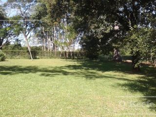 Foto 14 de Campo en venta de 300 has FORESTAL - Ganadera R14 Corrientes -Financiación