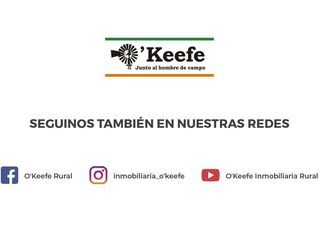 Foto 17 de Campo en venta de 300 has FORESTAL - Ganadera R14 Corrientes -Financiación