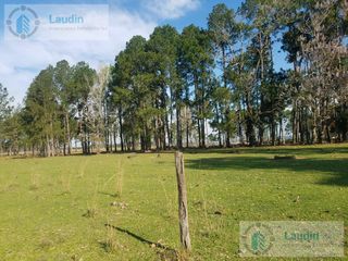 Foto 4 de Terreno - Candelaria