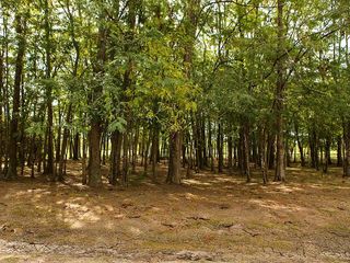 Foto 2 de Terreno en Venta en Estancias Del Pilar, Pilar GBA Norte