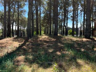 Foto 4 de Casa en  Isla de Golf Pinamar EN POZO
