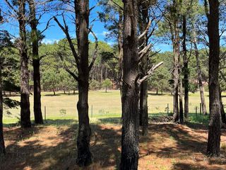 Foto 5 de Casa en  Isla de Golf Pinamar EN POZO