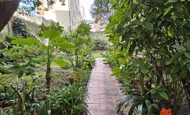place photo 36