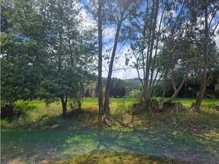 Foto 45 de VENTA CASA FINCA EN TOCANCIP CUNDINAMARCA