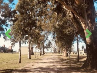 Foto 6 de Terreno en venta - 1.400Mts2 - Presidente Perón
