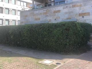 Foto 4 de PH en venta - 2 Dormitorios 2 Baños - Cochera - 161Mts2 - Quilmes