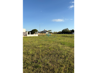 Foto 7 de VENTA - LOTE DE 1001 M2 - ALTO LOS MOLINOS, JESÚS MARA