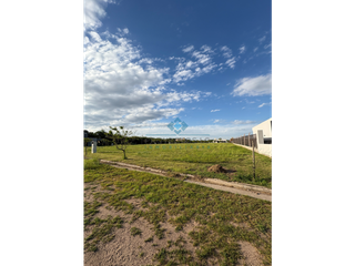 Foto 2 de VENTA - LOTE DE 1001 M2 - ALTO LOS MOLINOS, JESÚS MARA