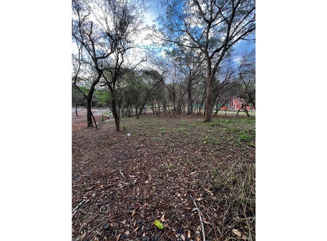 place photo 15