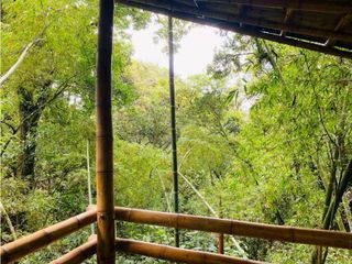 Foto 17 de BROKER - VENTA DE LOTE EN PARCELACION LA PAZ - NORTE POPAYAN