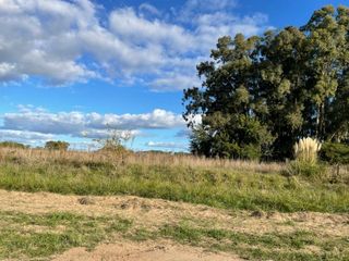 Foto 6 de Lote ubicado en Ruta 41 - El Totoral