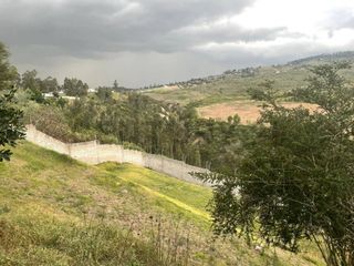 Foto 7 de Renta Terreno 2.800m2 excelente ubicación en Tumbaco Avda.Universitaria-RutaViva