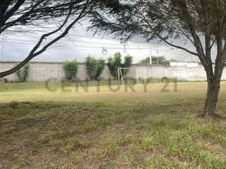 Foto 11 de Renta Terreno 2.800m2 excelente ubicación en Tumbaco Avda.Universitaria-RutaViva