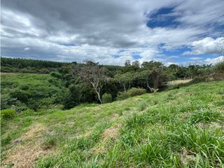 Foto 5 de PARCELA EN VENTA EN LA PARCELACION CIUDAD VERDE, POPAYAN