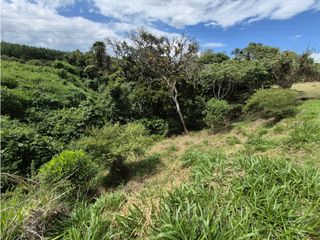 Foto 9 de PARCELA EN VENTA EN LA PARCELACION CIUDAD VERDE, POPAYAN