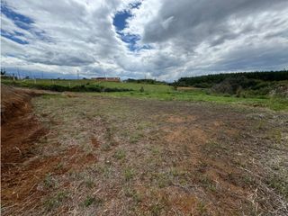 Foto 7 de PARCELA EN VENTA EN LA PARCELACION CIUDAD VERDE, POPAYAN