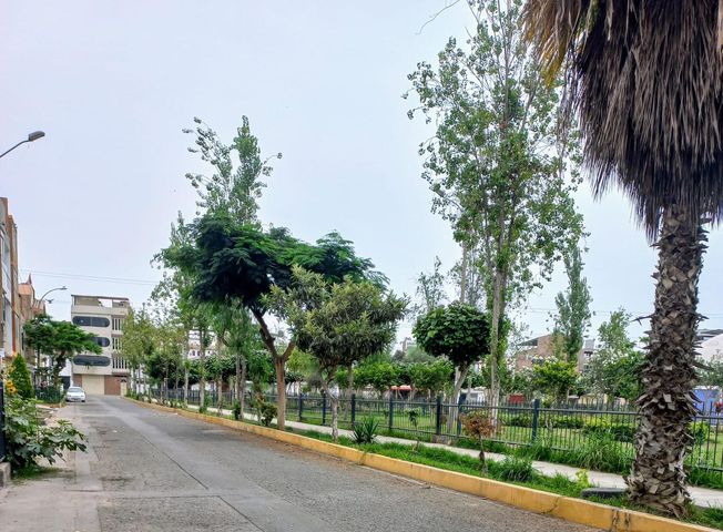 Imagen Apartamento