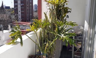 Apartamento en Venta en Nuñez