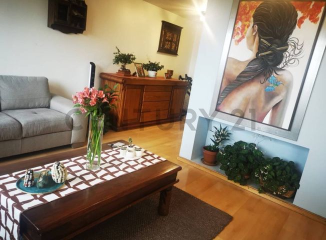Apartamento en venta en El Bosque - Ansicht 5