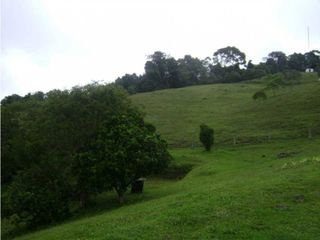 Se vende finca en buga 60.750 metros  para cultivar o parcelar