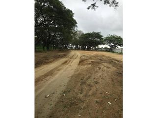 Foto 6 de La Aurora , A Leon Febres Cordero, terreno Comercial 12919,86 m2