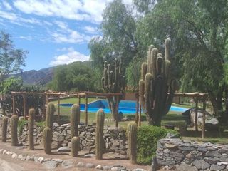 Foto 1 de Terreno - Cafayate