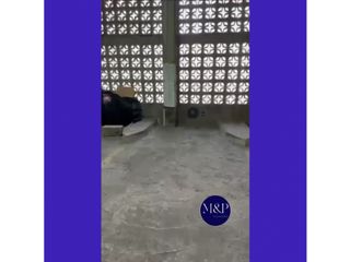 Foto 2 de VENTA- COCHERA- NUEVA CÓRDOBA