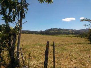 VENDO TERRENO CUMBAYA, RUTA VIVA, 3 HECTAREAS