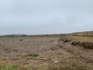 Foto 6 de TERRENO DE 45,000 M2 KM 84 PANAMERICANA NORTE VENDO