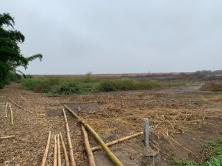 Foto 9 de TERRENO DE 45,000 M2 KM 84 PANAMERICANA NORTE VENDO