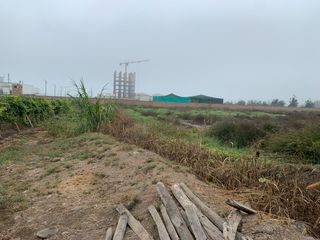 Foto 5 de TERRENO DE 45,000 M2 KM 84 PANAMERICANA NORTE VENDO