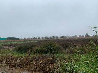 Foto 10 de TERRENO DE 45,000 M2 KM 84 PANAMERICANA NORTE VENDO