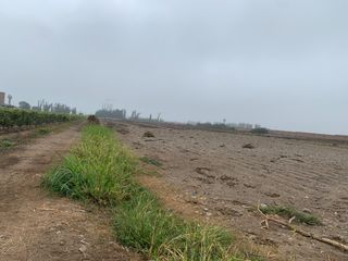 Foto 7 de TERRENO DE 45,000 M2 KM 84 PANAMERICANA NORTE VENDO