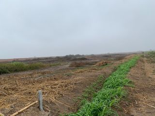 Foto 8 de TERRENO DE 45,000 M2 KM 84 PANAMERICANA NORTE VENDO