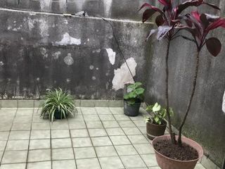 Foto 4 de Departamento en venta en Ramos Mejia Sur
