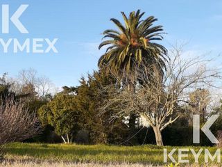 Terreno - Villa Elisa