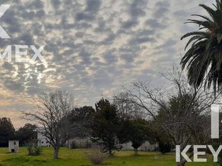 Terreno - Villa Elisa