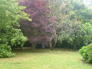 Foto 3 de Casa  ,Bosque Peralta Ramos