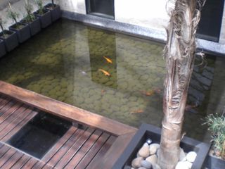 Foto 8 de Oficina en alquiler. la mejor ubicación
